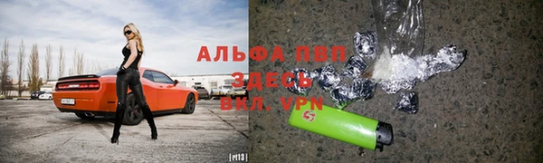гидра Алексин