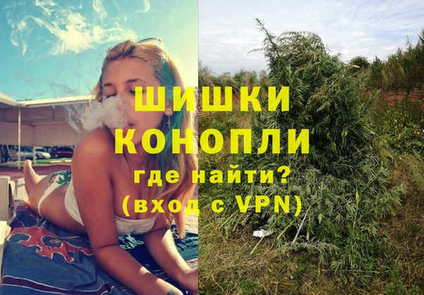 гидра Алексин