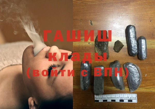 гидра Алексин