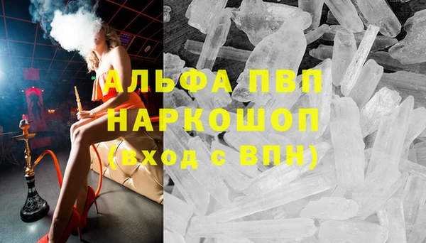 гидра Алексин
