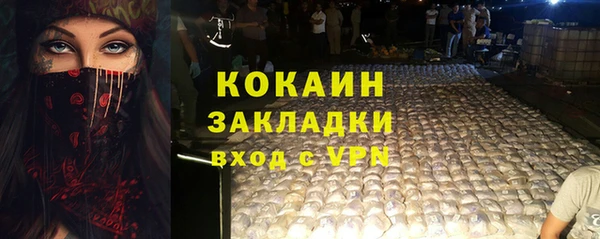 гидра Алексин