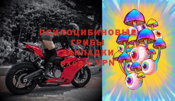 винт Алзамай